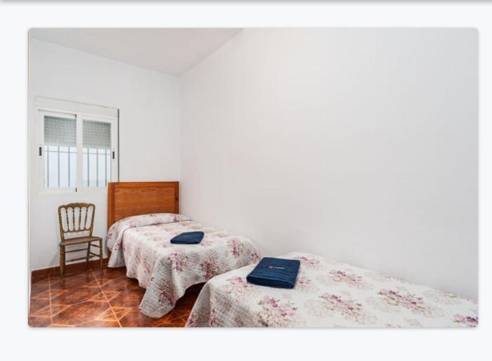 Apartmán Casa Loli Conil De La Frontera Exteriér fotografie